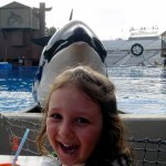 Shamu at SeaWorld and Family Fun Vacation