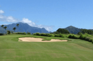 great golf in hawaii (kiahunagolf.com)