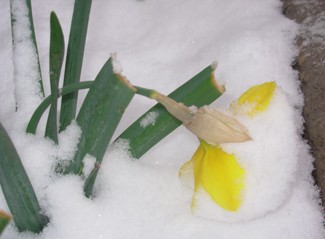 May snow Colorado
