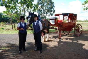 Carriage Rides