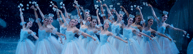nutcracker nutcracker