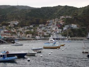 Avalon Catalina Island California