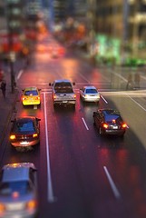 Carbon Offsets Reduce Travel Footprints (Carole Browne via Flickr)