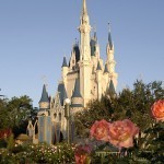 disneycastle disneycastle