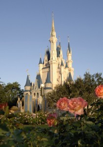disneycastle disneycastle