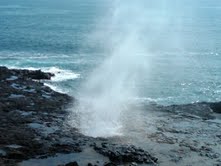 Hawaii Vacation Photo of Souting Horn in Kauai