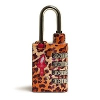 Safe Skies Lock Safe Skies Lock