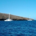 Best Maui Snorkel Molokini
