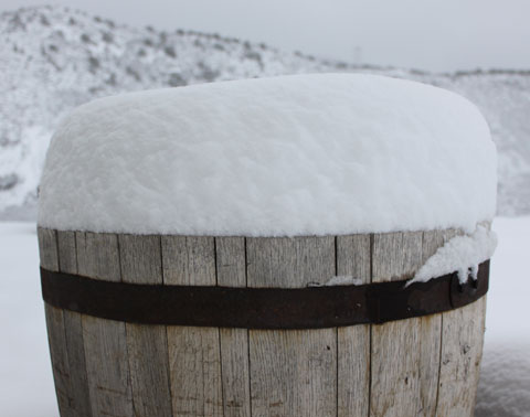 spring snow Colorado