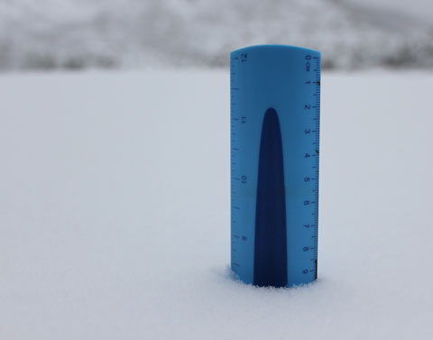 spring snow Colorado