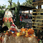 Halloween in San Diego California (srta-bea)