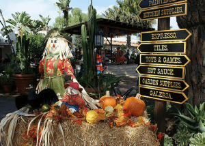 Halloween in San Diego California (srta-bea)