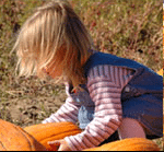 Halloween Harvest Festival at Pierce College (halloweenharvestfestival.com) Halloween Harvest Festival at Pierce College (halloweenharvestfestival.com)