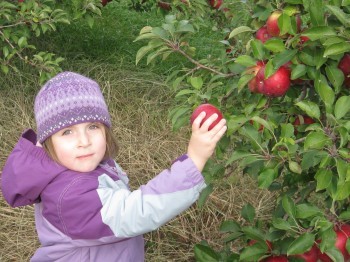 Maddie Apple