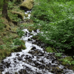 Thing to do in Portland, Oregon - Wahkeenah Falls Hike (Jennifer Miner) Thing to do in Portland, Oregon - Wahkeenah Falls Hike (Jennifer Miner)