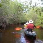 Kayaking Cape Coral Kayaking Cape Coral