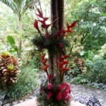 finca luna nueva ecolodge organic farm costa rica (jennifer miner)