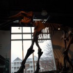 mammoth mammoth