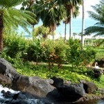 Grand Hyatt Kauai Luxury Resort & Spa in Hawaii (Jennifer Miner) Grand Hyatt Kauai Luxury Resort & Spa in Hawaii (Jennifer Miner)