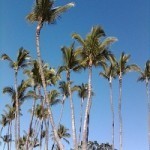 Maui, Hawaii a Best Romantic Getaway for Honeymoons (Jennifer Miner)