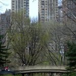 New York City Central Park (Jennifer Miner) New York City Central Park (Jennifer Miner)