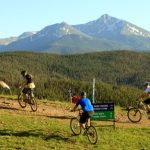 Mountain biking trails on top of Vail Mountain.