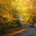 Fall Foliage for upstate New York Leaf Peepers (visitadirondacks.com) Fall Foliage for upstate New York Leaf Peepers (visitadirondacks.com)