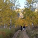 Take a nature walk, not a crazy-long uphill trek, on your first fill day of your mountain vacation.