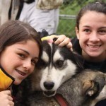 TauckBridges_sled_dog#5FE1D