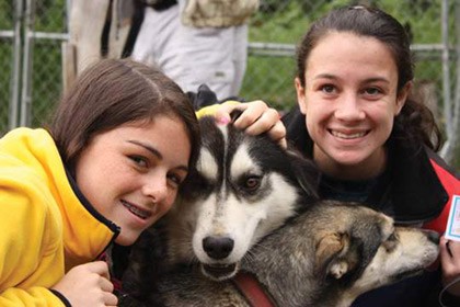 TauckBridges_sled_dog#5FE1D