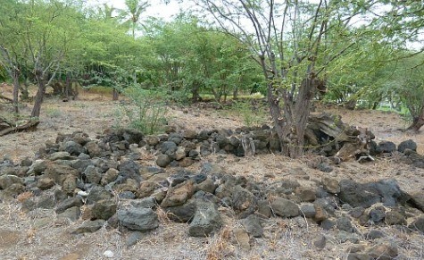'Ouli Ahupua'a settlement remains on Hawaii Island's Ala Kahakai Hiking Trail (Jennifer Miner) 'Ouli Ahupua'a settlement remains on Hawaii Island's Ala Kahakai Hiking Trail (Jennifer Miner)