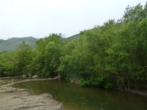 Santa Paula Creek (Jennifer Miner) Santa Paula Creek (Jennifer Miner)