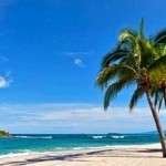 Starwood Starpoints at St Regis Punta Mita Tennis Resort (starwood.com)