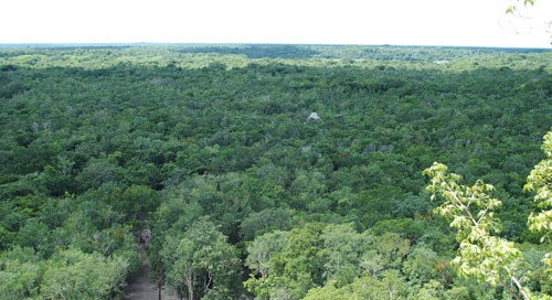 View atop Nohoch Mul