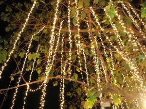 christmas on maui holiday events