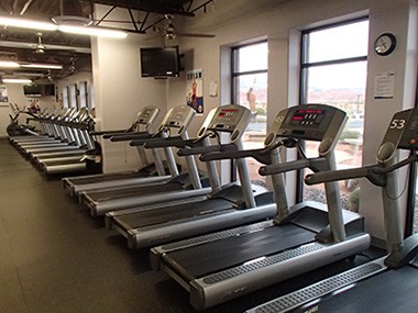 No dearth of treadmills in the gym.