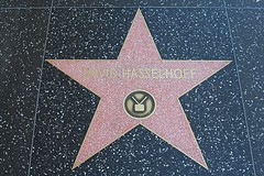 Iconic Hollywood Star