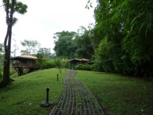 Finca Luna Nueva Ecolodge Farm Costa Rica