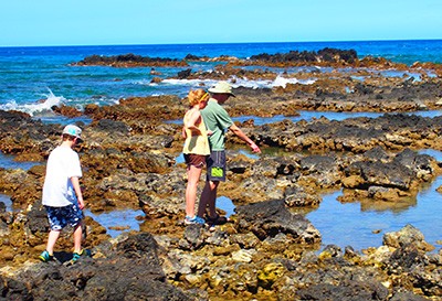 Family-Friendly Activities on Hawaii, the Big Island
