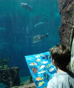 The Dig Atlantis