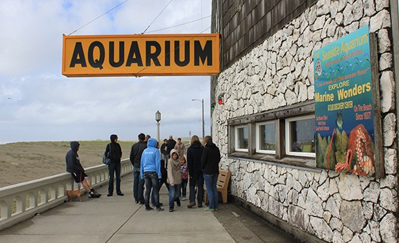 The Seaside Aquarium is housed in a building on the "Prom" that dates back to 1924.