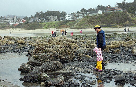 All ages love to explore the tidepools at the base of Haystack Rock.