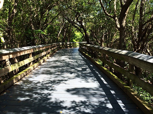 The beach is accessed via a lengthy stroll along this mangrove-lined boardwalk