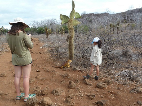 Children looking at a Galapagos Land Iguana - Reptiles of the Galapagos Islands (Jennifer Miner)