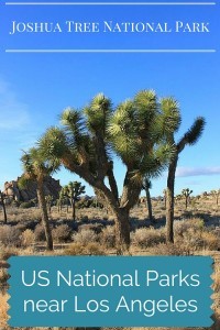 US National Parks near Los Angeles: Joshua Tree National Park