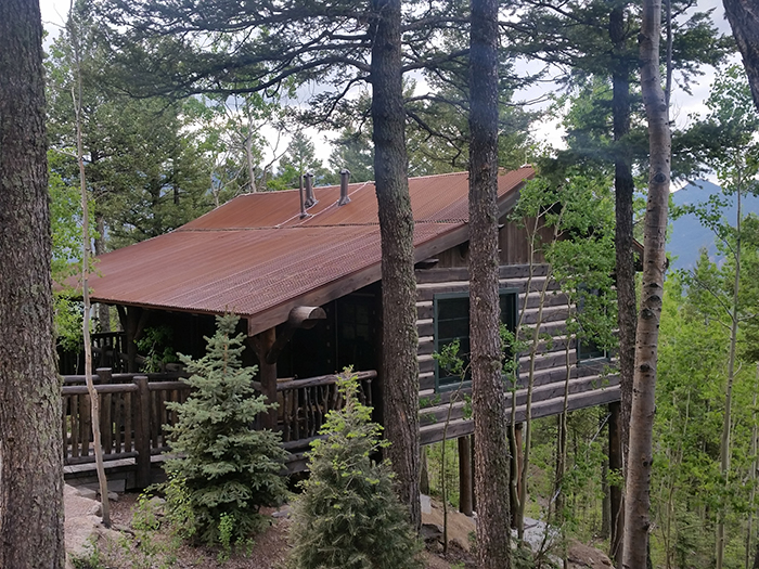 Freestanding cabins are set amidst tall trees at Cloud Camp.