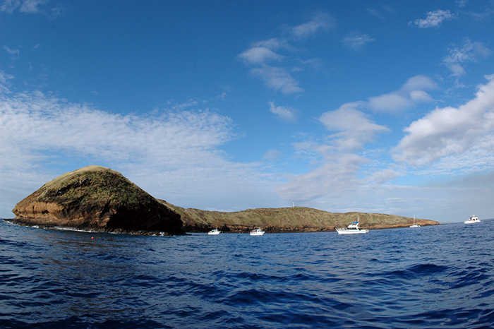 Molokini Crater is a popular dive site on Maui.